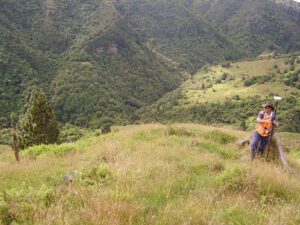 The NZ CycleTrail – Ruapehu District Council