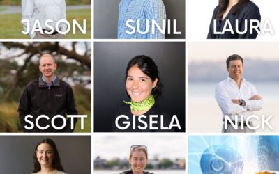 AI vs Professional Service Industry