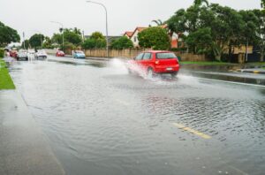 Flooding Napier - Cheal Storm water Management Advice